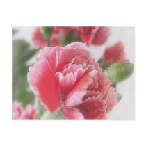 Red-Pink Carnations 1 Painterly postcards by LivingNature Red-Pink Carnations 1 Painterly postcards