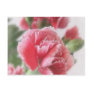 Red-Pink Carnations 1 Pai...