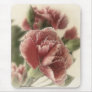 Red-Pink Carnations 1 Rustic