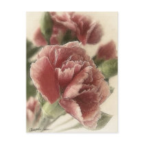 Red-Pink Carnations 1 Rustic postcards by LivingNature Red-Pink Carnations 1 Rustic postcards