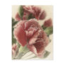 Red-Pink Carnations 1 Rustic