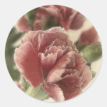 Red-Pink Carnations 1 Rustic Round Stickers