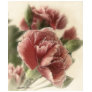 Red-Pink Carnations 1 Rustic