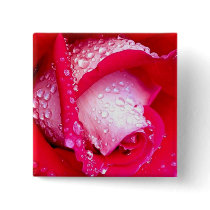 Red/Pink Dew-Kissed Rose buttons