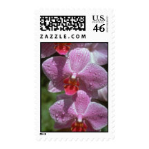 Red Pink phals flowers Stamps