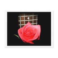 Red pink rose against five string bass fret board postcard