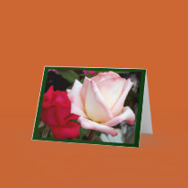 Red Pink Roses Note Cards