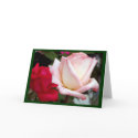 Red Pink Roses Note Cards by Lesleysloft Red Pink Roses Note Cards