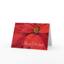 Red Poinsetta Christmas Card
