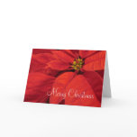 Red Poinsetta Christmas Card