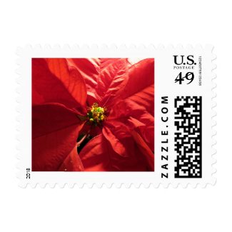 Red Poinsettia Christmas Flower Stamp