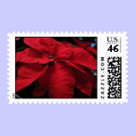 Red Poinsettia Christmas stamp stamps