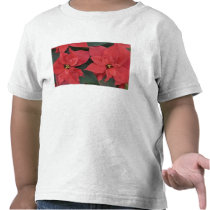 Red Poinsettia Detail (Euphorbia pulcherrima) T Shirt