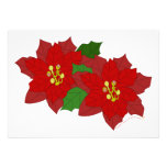 Red Poinsettia Flower Christmas Blossom Blank Personalized Invitation
