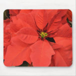 Red Poinsettia Mouse Pad