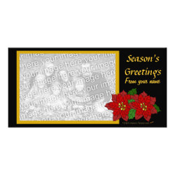 Red Poinsettia Photo Card Template (black gold) photocard