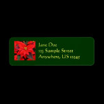 Red Poinsettia Return Address Label
