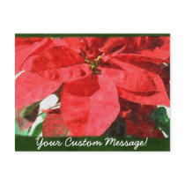Red Poinsettias 1 postcards
