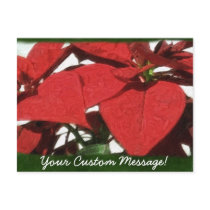 Red Poinsettias 2 postcards