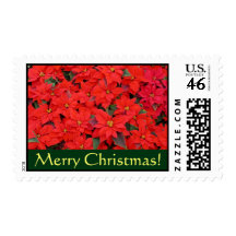Red Poinsettias Christmas Postage Stamps
