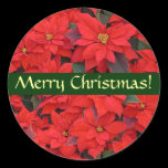 Red Poinsettias Christmas Sticker