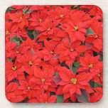 Red Poinsettias Cork Coaster Set