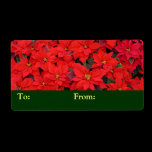 Red Poinsettias Gift Tag Personalized Shipping Label