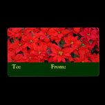 Red Poinsettias Gift Tag Personalized Shipping Label