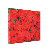 Red Poinsettias Holiday Canvas Print