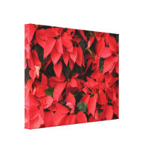Red Poinsettias Holiday Canvas Print