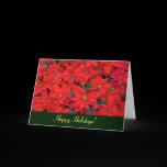 Red Poinsettias Holiday Card (Blank Inside)