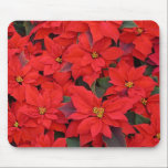 Red Poinsettias Mousepad