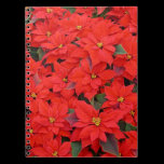 Red Poinsettias Notebook