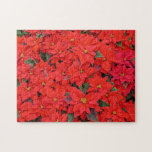 Red Poinsettias Puzzle