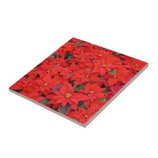 Red Poinsettias Tile