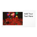 Red Pointsettia and Bright Colored Lights Picture Card
