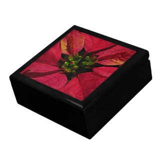 Red Pointsettia Gift Box