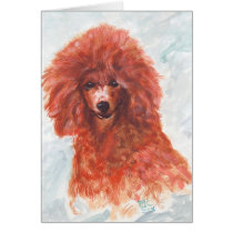 Red Poodle Card