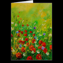 red poppies 450708 cards
