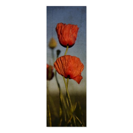 Red Poppies, business card