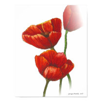 Red poppies canvas print by yioryia Red poppies canvas print