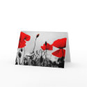 Red poppies cards by Artworks Red poppies cards
