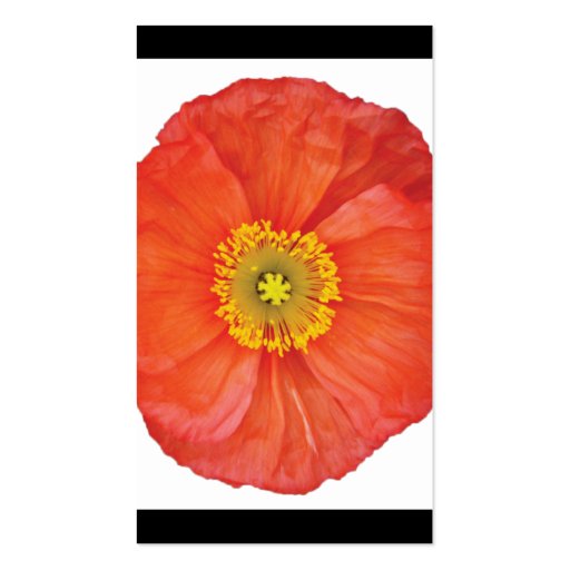 Red Poppies Elegant Business Card (back side)