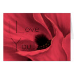 Red Poppies Flower Art Painting - ... - Customized Card