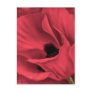 Red Poppies Flower Art Painting - Multi Postcards