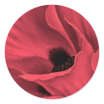 Red Poppies Flower Art Painting - Multi stickers by JUDERM Red Poppies Flower Art Painting - Multi stickers
