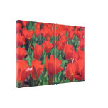 Red Poppies canvas prints