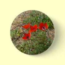 Red poppies in green. buttons