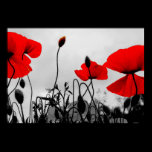 Red Poppies in the Field Poster Print