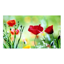 Red Poppies posters
